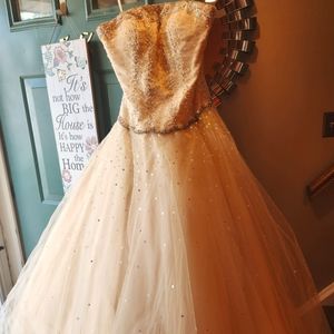 Beautiful Sweet 16/Prom Dress